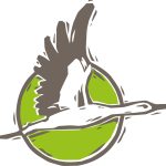 Murimoos werken und wohnen